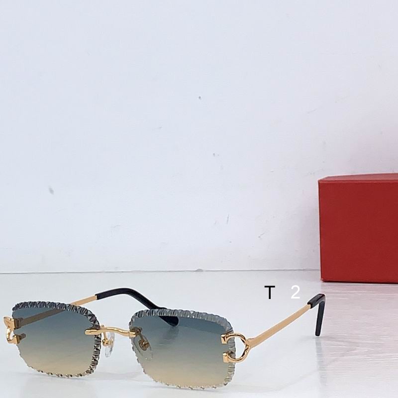 Cartier CT02032 b