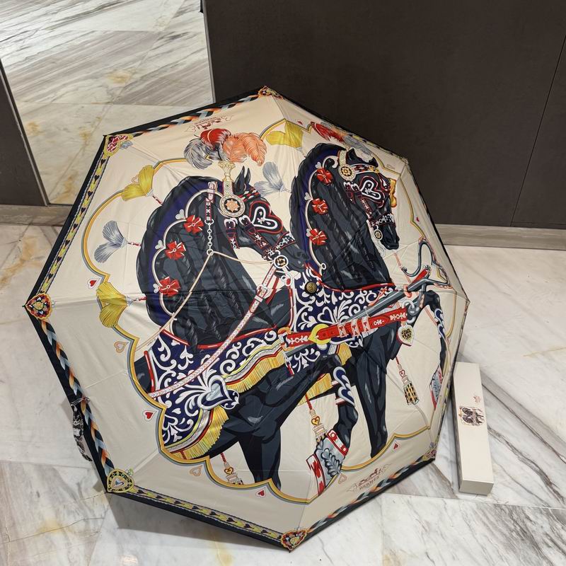 Hermes Umbrella 01
