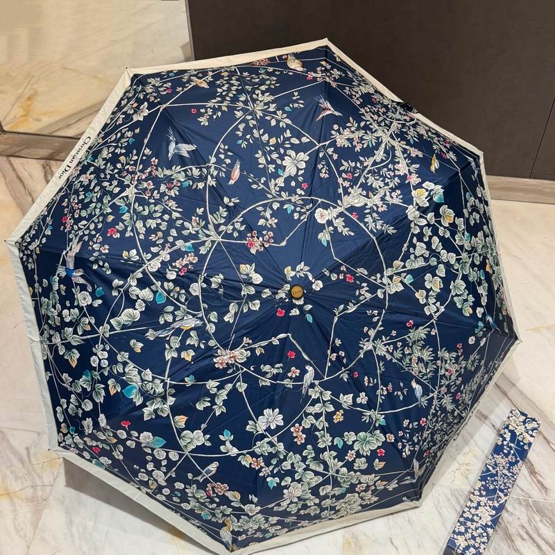 Dior Umbrella 01