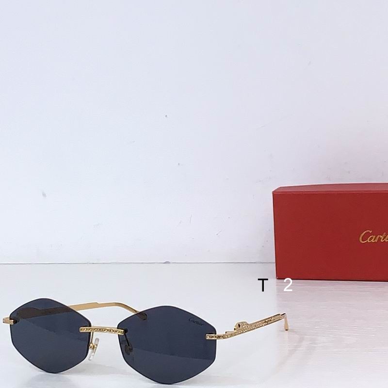 Cartier CT0487S 61 18-140 b