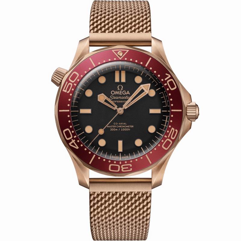Omega watch 042925