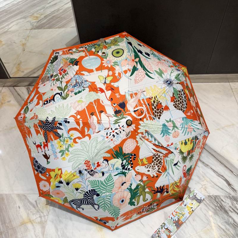 Hermes Umbrella 06