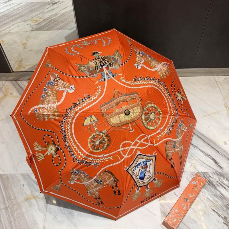 Hermes Umbrella 07