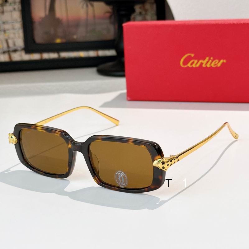 Cartier CT0633O 52 19-140 A