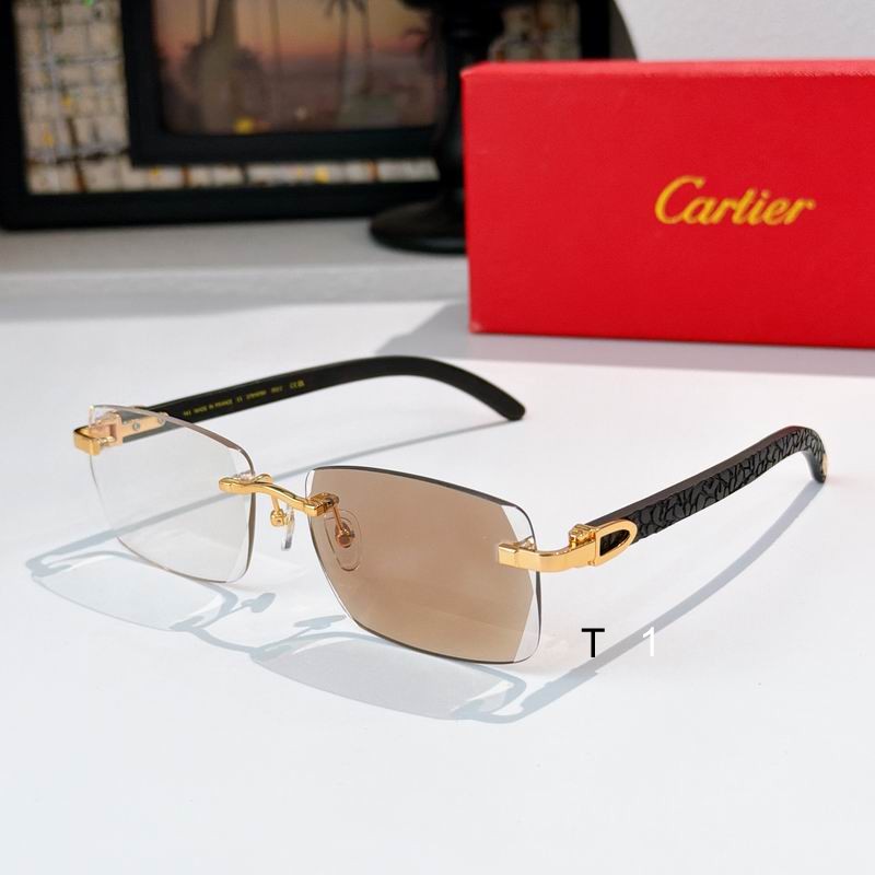 Cartier CT01675O 143 s