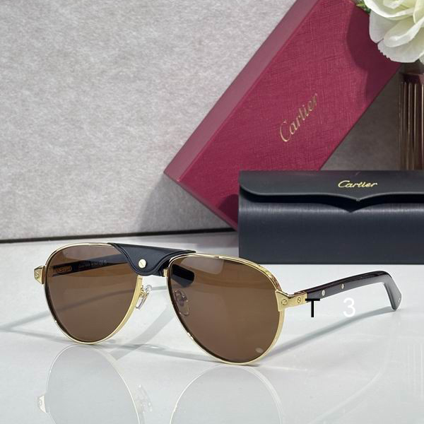 Cartier CT0495S 58 19-145 C