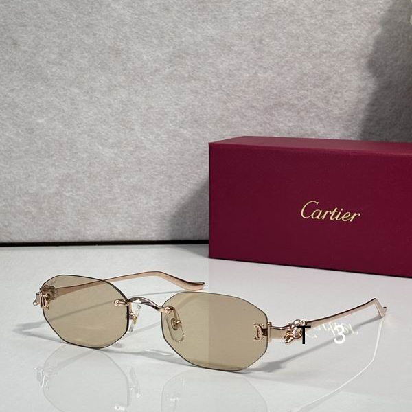 Cartier CT0654S 55 19-135 C