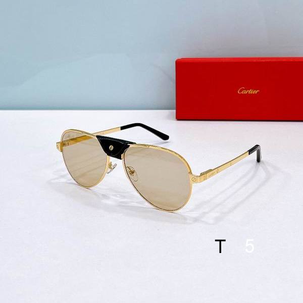 Cartier CT0034S 61 17-135 F