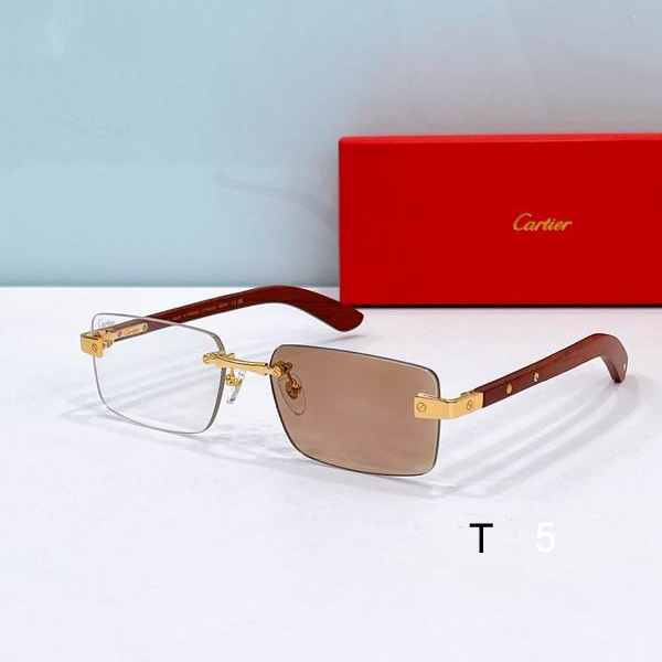 Cartier CT0582S 56 19-145 F