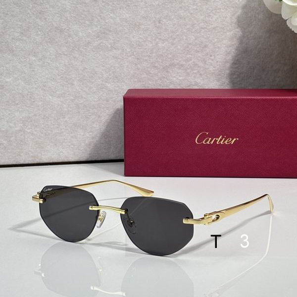 Cartier CT0816S 54 17-145 c