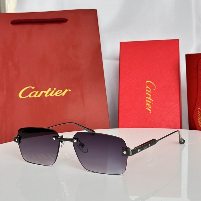 Cartier Glasses sms345