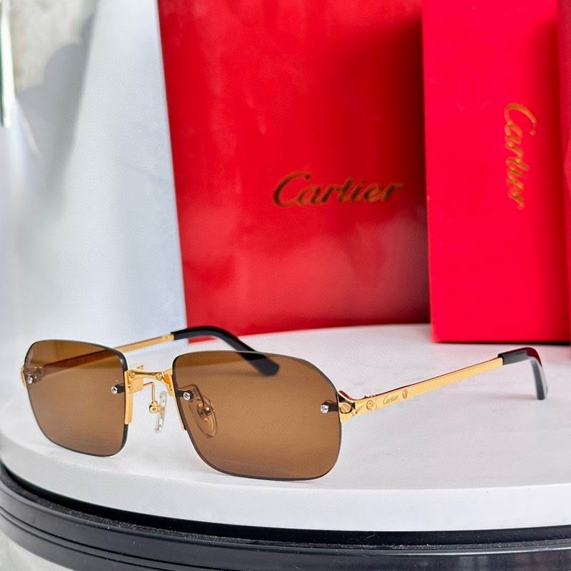 Cartier Glasses sms352