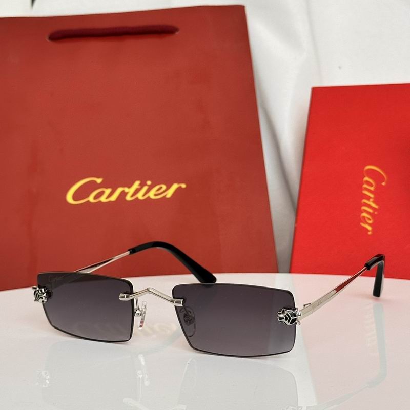 Cartier Glasses sms357