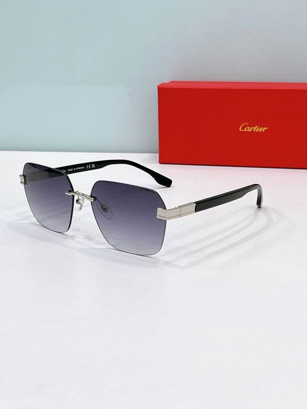 Cartier Glasses sms362