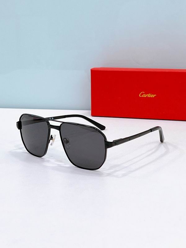 Cartier Glasses sms365