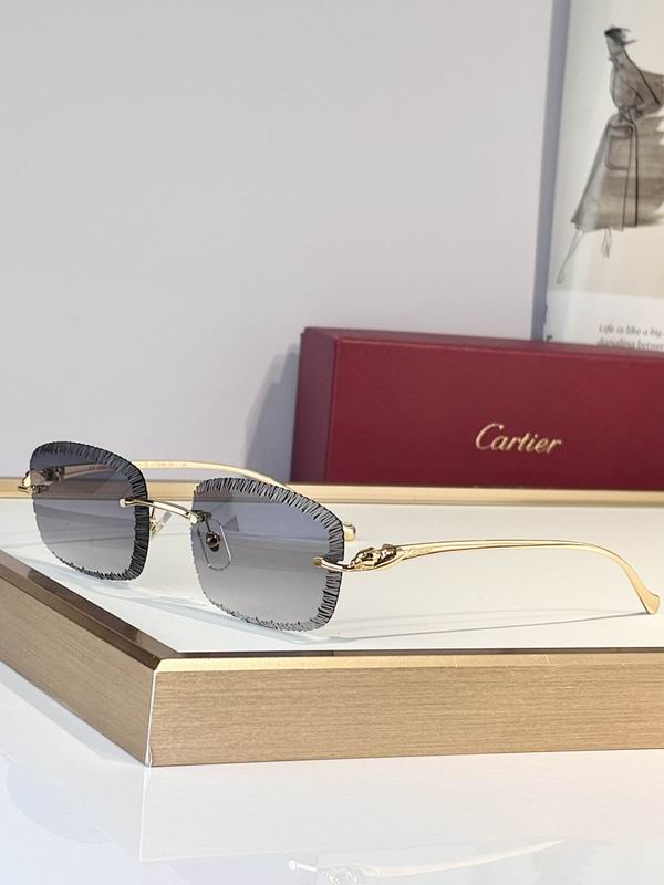 Cartier Glasses sms378