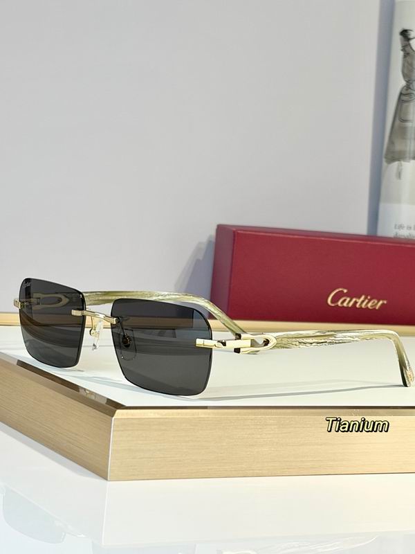 Cartier Glasses sms384