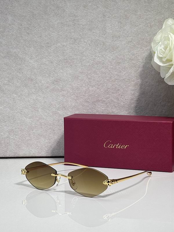 Cartier Glasses sms387