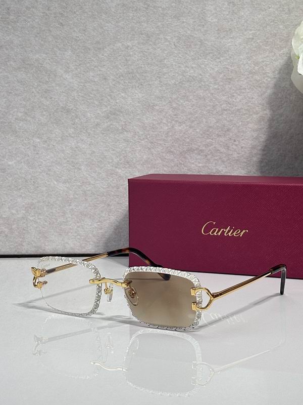 Cartier Glasses sms388