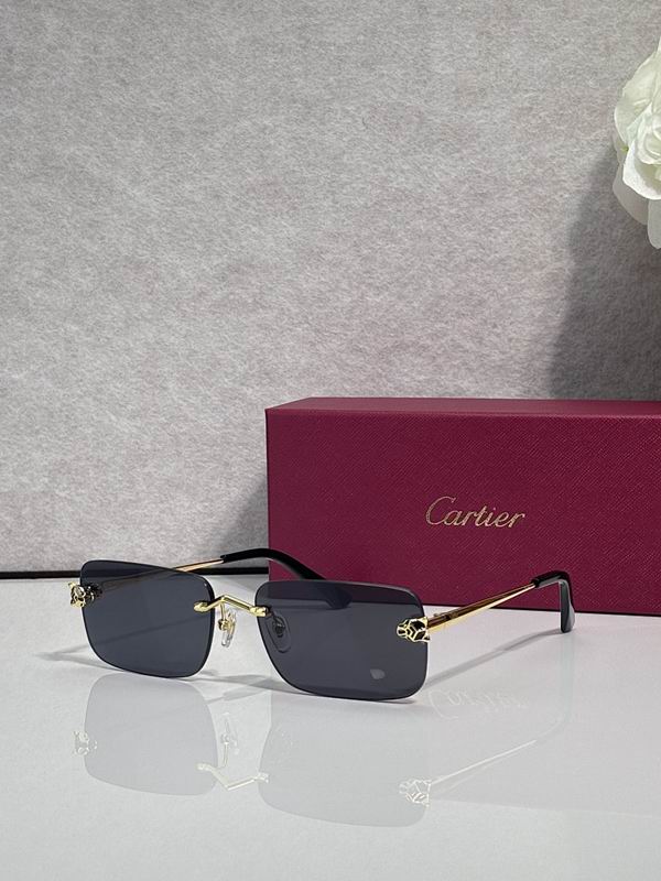 Cartier Glasses sms390