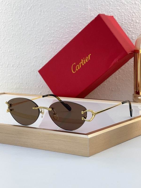 Cartier Glasses sms391