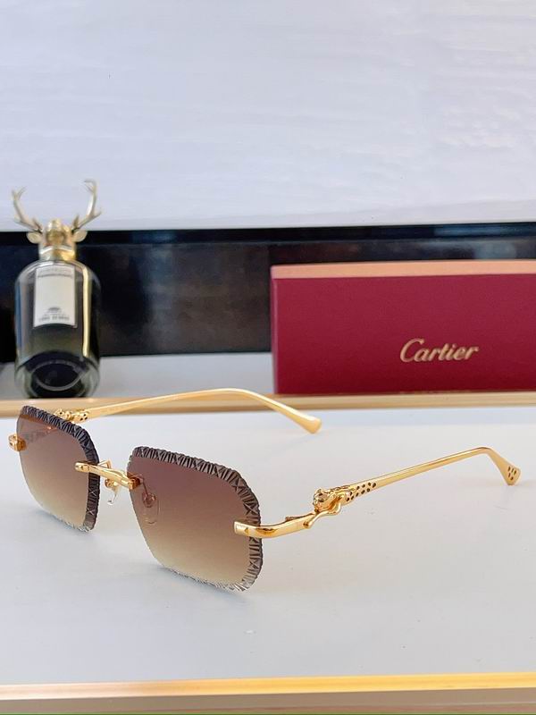Cartier Glasses sms395