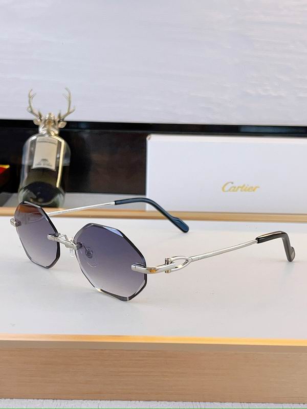 Cartier Glasses sms401