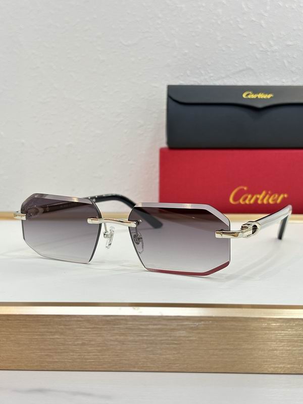 Cartier Glasses sms417