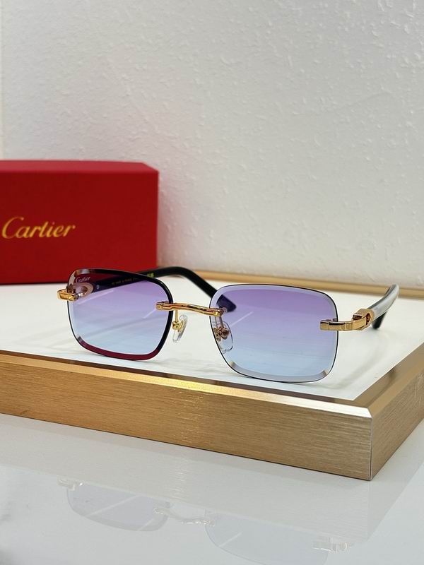 Cartier Glasses sms418