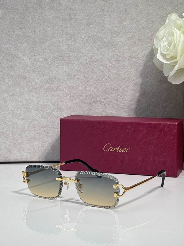 Cartier Glasses sms422