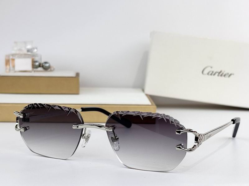 Cartier Glasses sms431