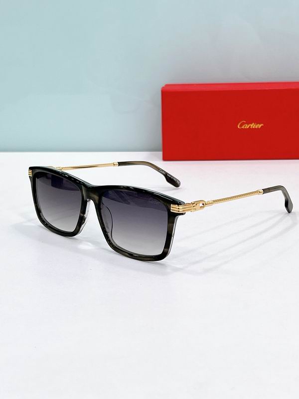 Cartier Glasses sms441