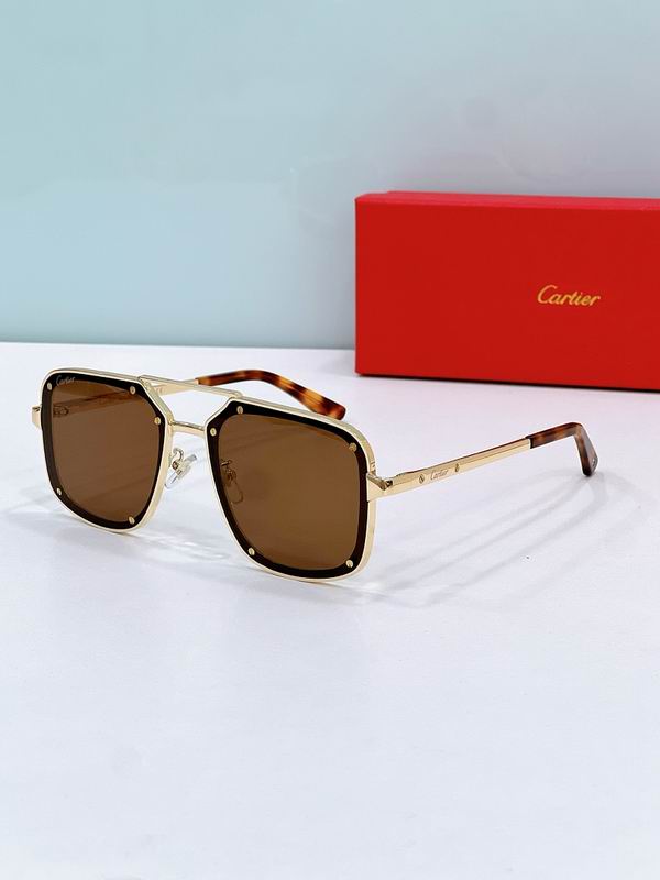 Cartier Glasses sms443