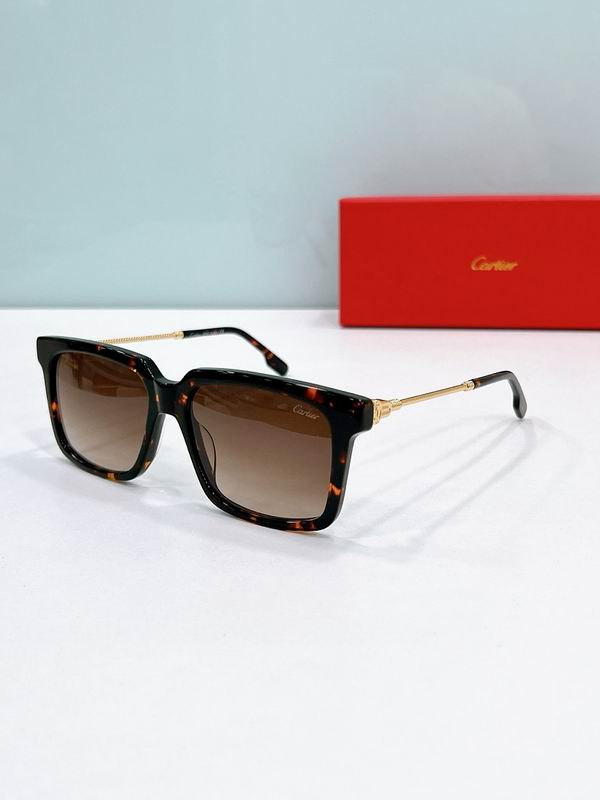 Cartier Glasses sms454