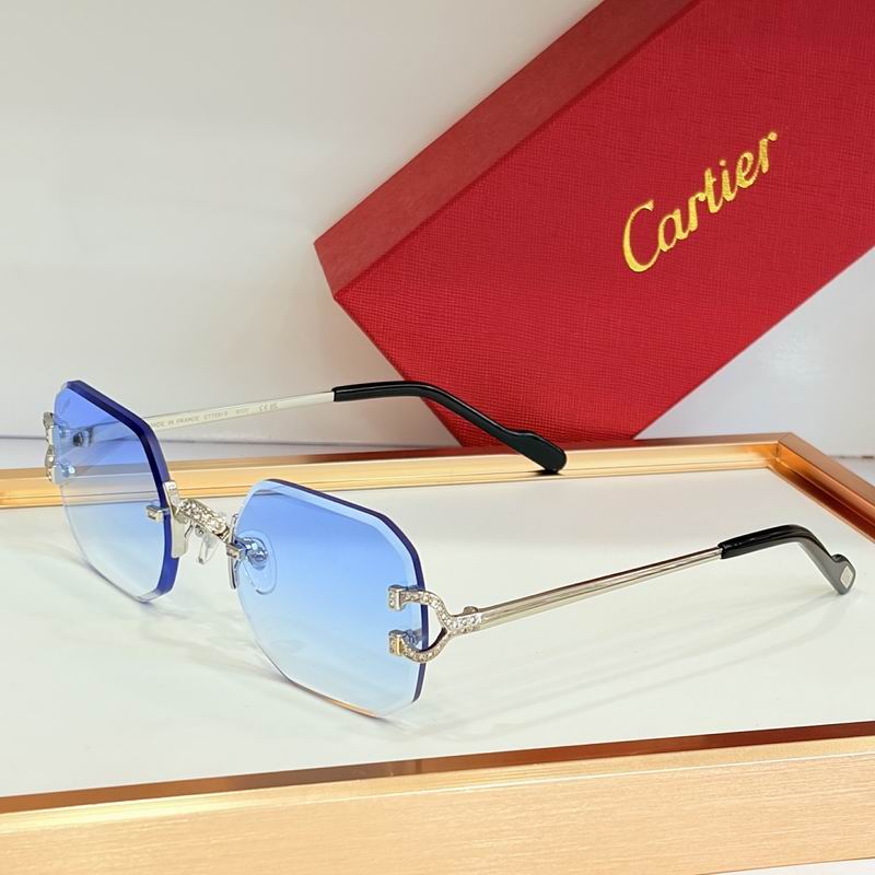 Cartier Glasses sms459