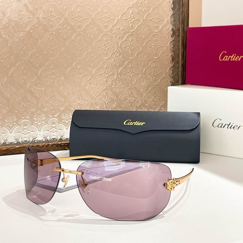 Cartier Glasses sms461