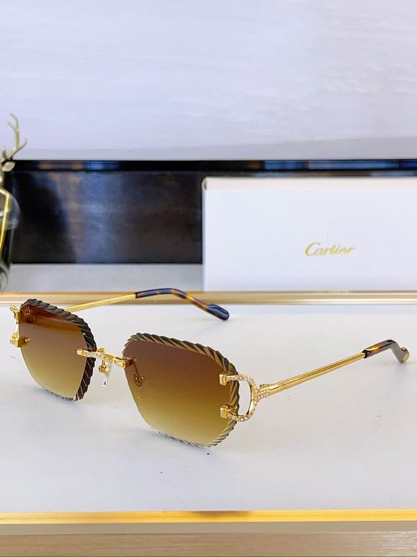 Cartier Glasses sms473