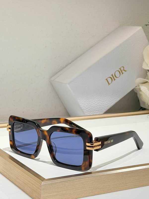 Dior Glasses smr130