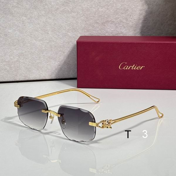 Cartier CT7072S 57 17 145 c