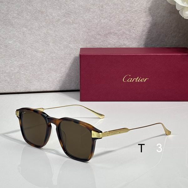 Cartier CT0612OA 52 20 145 c