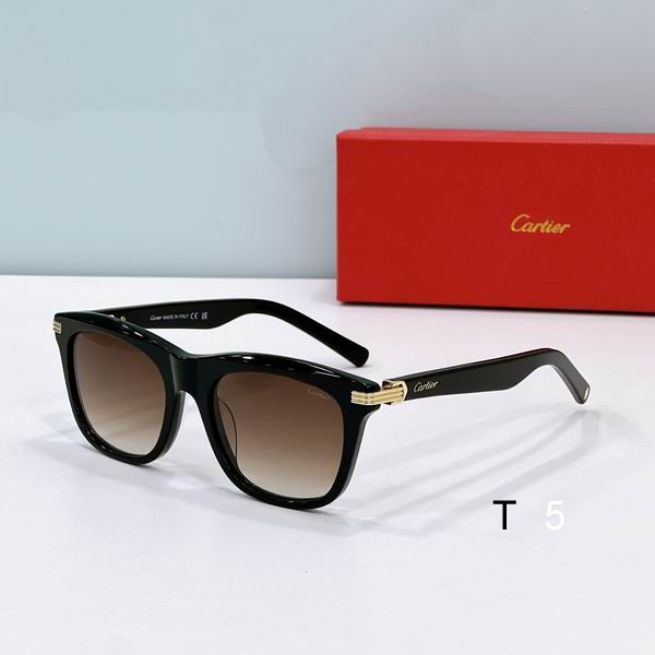 Cartier CT0396S 53 20-145 F