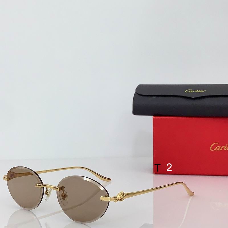 Cartier CT0504SS 57 18-137 b
