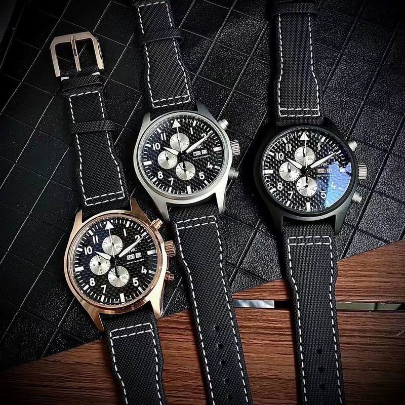 IWC watch 050311